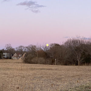 Meet your Posher, Judith